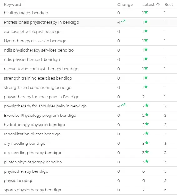 physiotherapy-seo-result-img